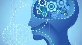 Timeline: Beliefs and Values