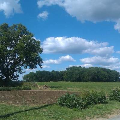 Timeline: Family Farm