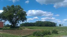 Timeline: Family Farm