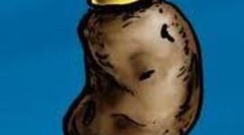 Timeline: Baked Potatoes