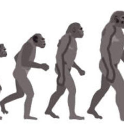 Timeline: Timeline of Evolution Theorists