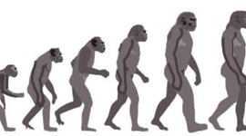 Timeline: Timeline of Evolution Theorists