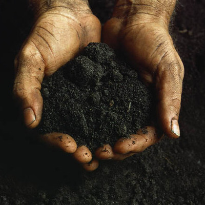 Timeline: Sustainable Forestry and African American Land Retention Program