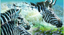 Timeline: Welcome to Mrs Spanjersberg's Science!