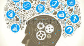 Timeline: Important Scientific Discoveries in 2012