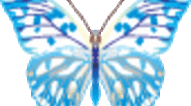 Timeline: ED 512 Timeline of the Individual Education Plan Process