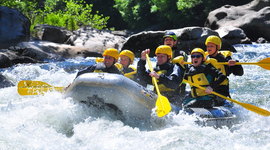 Timeline: M Robinson