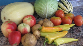 Timeline: HFC Start-up Goals