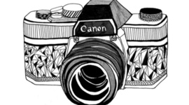 Timeline: Tess' Photographic Timeline