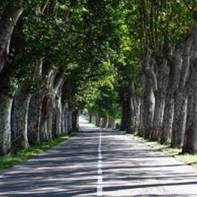 Timeline: Informed prediction