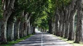 Timeline: Informed prediction