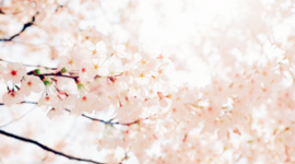 Timeline: Unit 4- Activity 3: The Best of Me in the Future