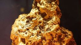 Timeline: Charlotte Brown