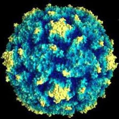Timeline: The Polio Virus
