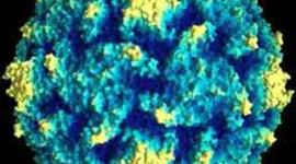 Timeline: The Polio Virus