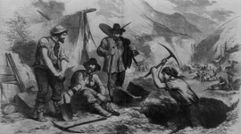 Timeline: katie.homan