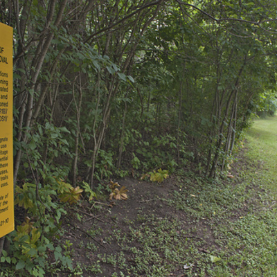 Timeline: Hardy Road Area development time line