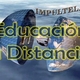 Educacion a distancia.wmv 000093526