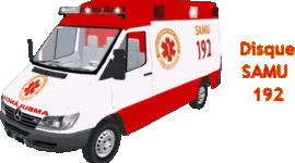 Timeline: Política Nacional de Urgências