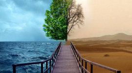 Timeline: TEAM 3 (W46N)