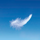 Feather