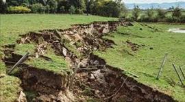 Timeline: Quake Rattle and Roll