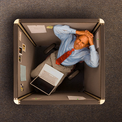 Timeline: historial laboral