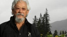 Timeline: David Takayoshi Suzuki