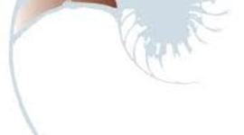 Timeline: Technology Education in NZ