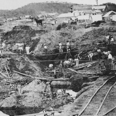 Timeline: Charlottes timeline gold