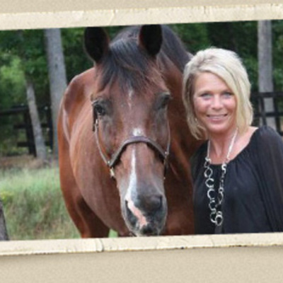 Timeline: SC Farms for Sale