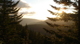 Timeline: Life Line Mapping: One and Two