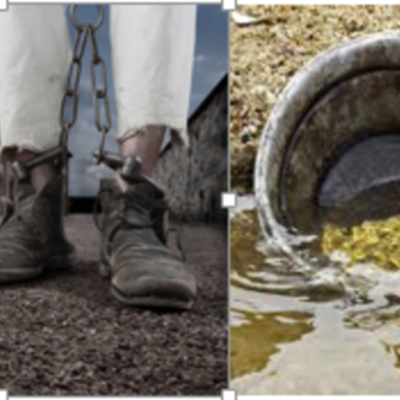 Timeline: history progect 2013