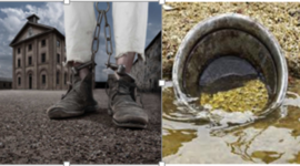 Timeline: history progect 2013