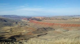 Timeline: COM 1010 - Public Engagement Course Schedule