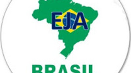 Timeline: TRAJETÓRIA DA EJA NA DÉCADA DE 90