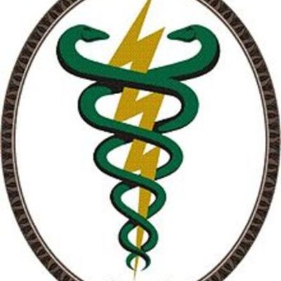 Timeline: FISIOTERAPIA