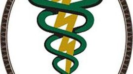 Timeline: FISIOTERAPIA