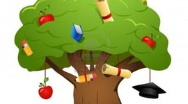 Timeline: Evolución Histórica de la Educación y Curriculo en Guatemala