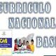 12 curiculo nacional base