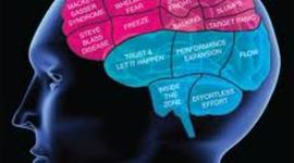 Timeline: Evolucion historica de la Psicología