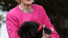 Timeline: Quentin Bryce By Alexandra Michielsen