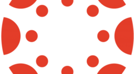 Timeline: First Two Weeks