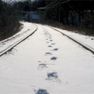 Timeline: Professional Growth- Educational Technology