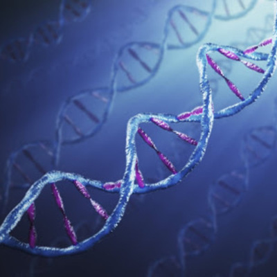 Timeline: Historia de la Bioetica