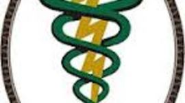 Timeline: Desarrollo Historico de la fisioterapia