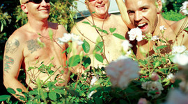 Timeline: History of Sublime