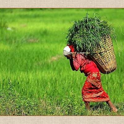 Timeline: Linea de tiempo ambiental