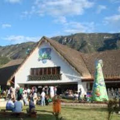 Timeline: Historia de Alpina