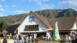 Timeline: Historia de Alpina